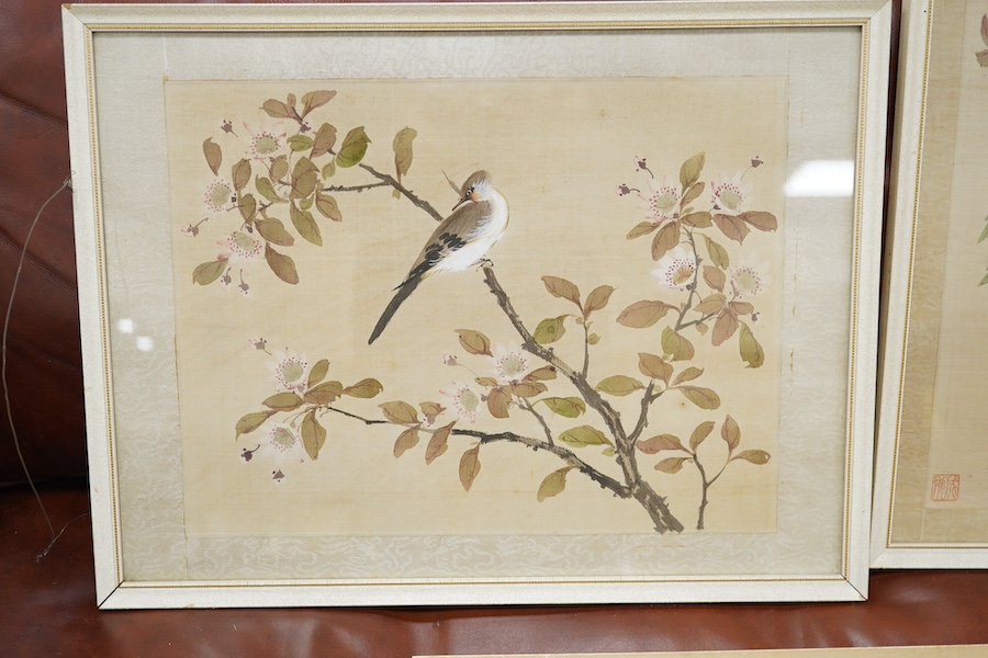 20th century, Chinese School, set of five watercolours on silk, Birds of Paradise amongst flowers, 28 x 33cm. Condition - fair